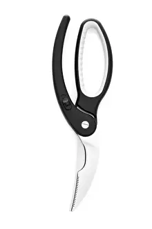 Clipping Path Services Prints: Poultry shears