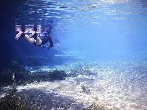 Framed Print : Practicing Diving in Bonito, Brazil Print Framed Print : Practicing Diving in Bonito, Brazil Print