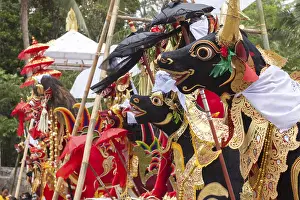 Bali Travel Photography Prints: Preparing for a corpse cremation