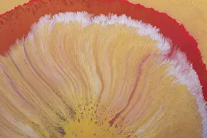 Natural Science Illustration Prints: Process of dissolving acrylic paint into water
