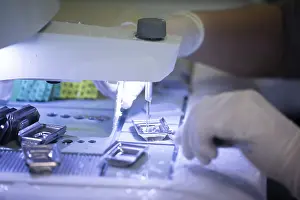Laboratory Science Prints: Processing of samples in a histology laboratory