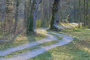 Bavarian Urban Environment Prints: Public park with path and bench in spring