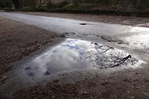 Central Europe Deserted Waterfront Prints: Puddle with reflection, Winter, Germany