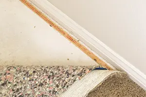 Deserted Living Space Prints: Pulled back carpet and padding in room of house
