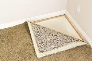 Deserted Living Space Prints: Pulled back carpet and underlay in room of house