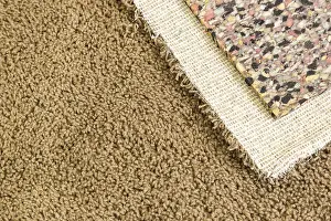 Deserted Living Space Prints: Pulled back carpet and underlay in room of house