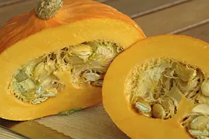 Pumpkin Nutrition Prints: Pumkin