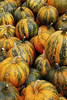 Vegetable Nutrition Facts Prints: Pumpkins