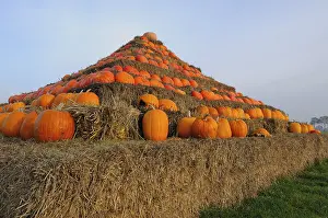 Food Photography Pumpkins Prints: Pyramid of pumpkins