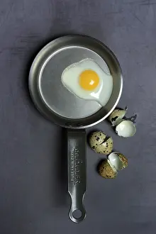 Quail Egg Nutrition Facts Prints: Quail egg in frying pan and eggshells
