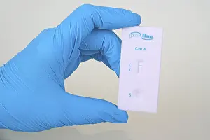 Sexually Transmitted Disease Test Prints: Quick test Chlamydia from ProLine
