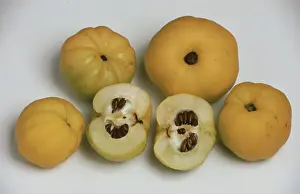 Full Frame Food Still Life Prints: Quinces
