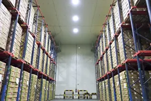 Framed Print : Racks in a warehouse with boxes of pineapples Framed Print : Racks in a warehouse with boxes of pineapples