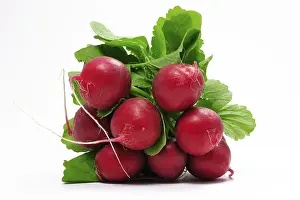 Fresh Vegetable Nutrition Prints: Radish