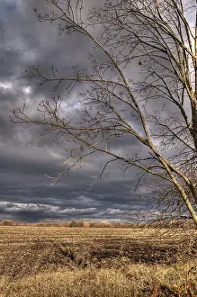 Shining Sunbeam Prints: Nature's Duality Print: Rain Clouds and Sun Rays
