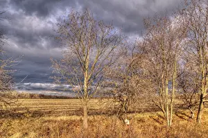 Cloudy Atmosphere Prints: Rain clouds, sun rays, twilight