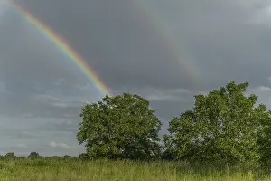 Colorful Cloudy Sky Prints: Rainbow appears in rain clouds in spring