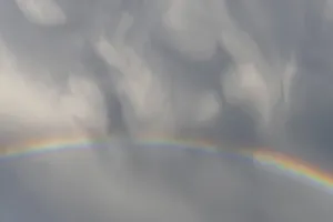 Springtime Alsace France Prints: Rainbow appears in rain clouds in spring