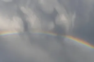 Springtime Alsace France Prints: Rainbow appears in rain clouds in spring