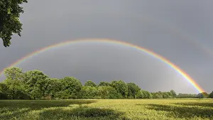 Rainbow Over Cornfield Prints: Rainbow over a cornfield, Vechta