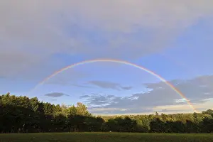 Colourful European Landscape Prints: Rainbow over a forest, Goggingen