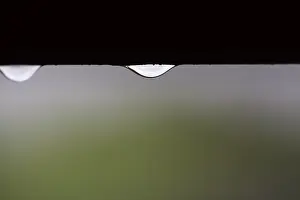 Text Free Space Image Prints: Raindrops hanging on the window frame