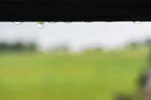 Text Free Space Picture Prints: Raindrops hanging on the window frame