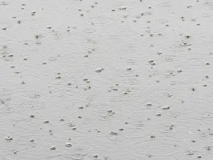Rainy Weather Germany Prints: Raindrops on a water surface, Germany
