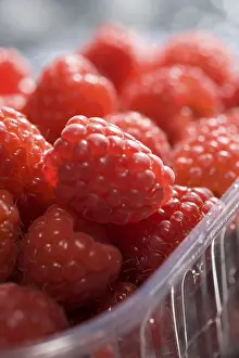 Studio Shot Fruit Photography Prints: Rasberries