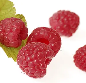 Cute Food Photography Prints: Raspberries
