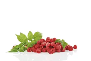 Vitamin Rich Berries Prints: Raspberries with raspberry leaves