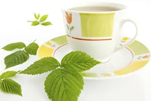 Stomach Ache Remedy Prints: Raspberry leaf (Rubus idaeus) on a teacup