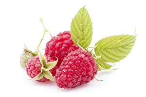 Studio Shot Dessert Prints: Raspberry pill with leaves on white background