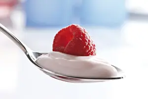 Studio Shot Of Yogurt Prints: Raspberry yogurt on a spoon