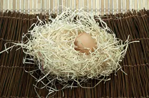 Studio Shot Of Eggs Prints: Three raw eggs in straw