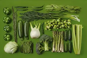 Green Background Still Life Prints: Rectangular composition with various green vegetables on green background