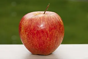 Ripe Fruit Images Prints: Red apple