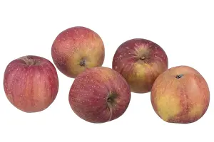 Full Length Apple Cutout Prints: Red apple Red Eiserapfel