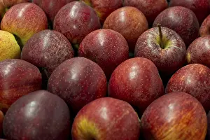 Full Frame Studio Photography Prints: Red apples