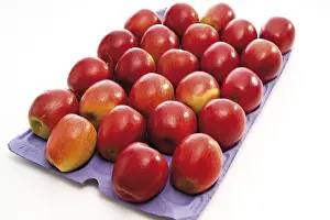 Nutritionally Balanced Diet Prints: Red Apples
