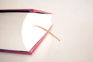 Multicolored Books Prints: Red book