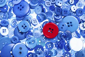 Open Air Blossom Photography Prints: One red button among blue buttons