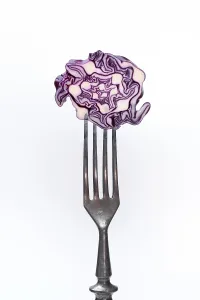 Plain Colored Background Studio Shots Prints: Red cabbage, red cabbage on fork