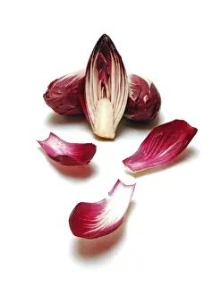 Green Leafy Vegetables Prints: Three red chicory