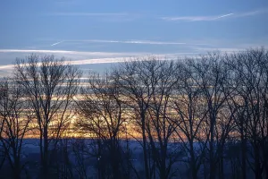 Central Europe Deserted Scene Prints: Red evening sky, bare trees in front