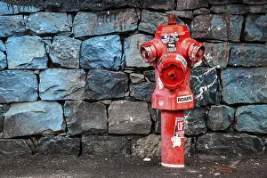 Camara De Lobos Village Prints: Red fire hydrant in front of a stone wall