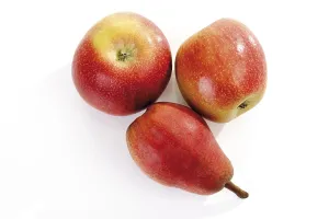 Red Fruit Prints: Red fruit, apples and a pear