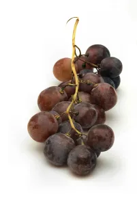 Framed Print : Red Grapes Print Framed Print : Red Grapes Print