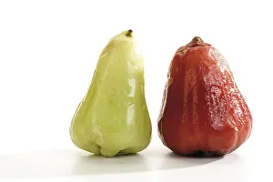 Balanced Diet Healthy Eating Tips Prints: Red and green Java apple (Syzygium samarangense)