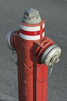 Safety Precaution Measures Prints: Red hydrant